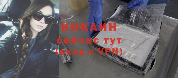 спайс Ладушкин