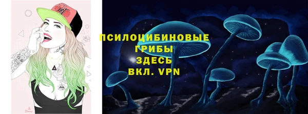 спайс Ладушкин