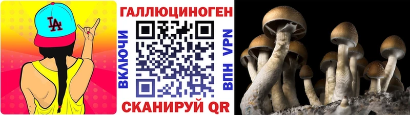 где можно купить наркотик  Нарьян-Мар  Псилоцибиновые грибы GOLDEN TEACHER 