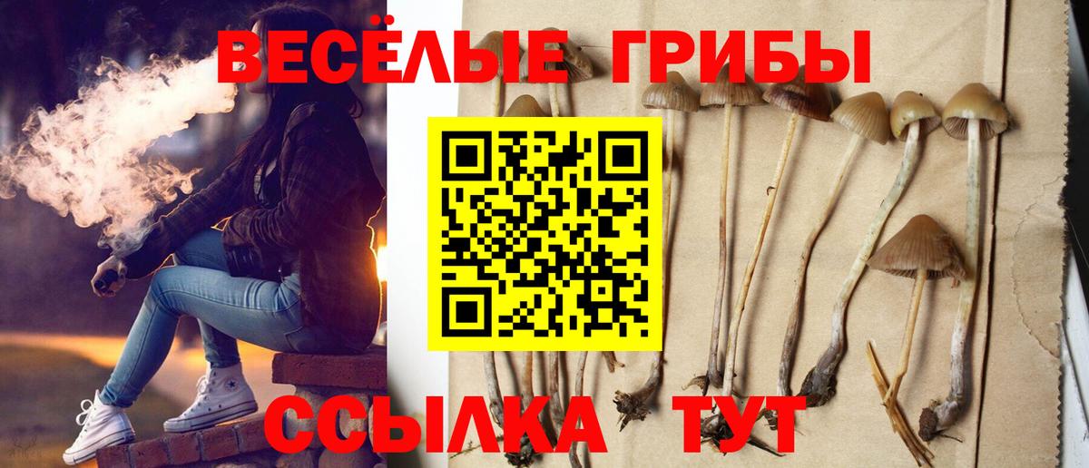 Псилоцибиновые грибы мицелий Нарьян-Мар