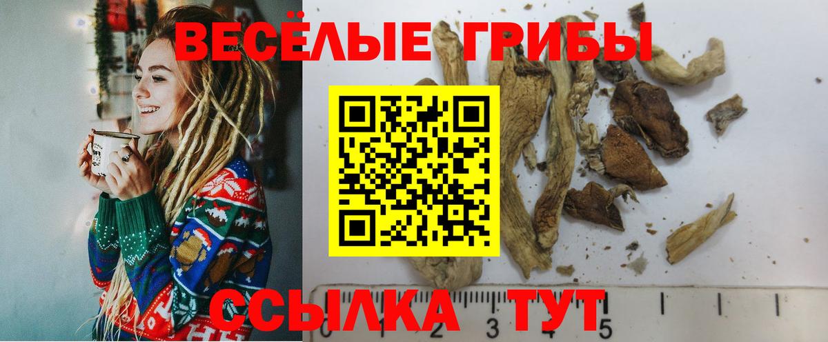 Галлюциногенные грибы GOLDEN TEACHER  Вход с VPN  Нарьян-Мар  Псилоцибиновые грибы ЛСД 
